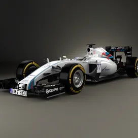 Mercedes Williams Fw36
